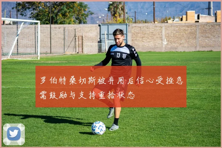 罗伯特桑切斯被弃用后信心受挫急需鼓励与支持重拾状态
