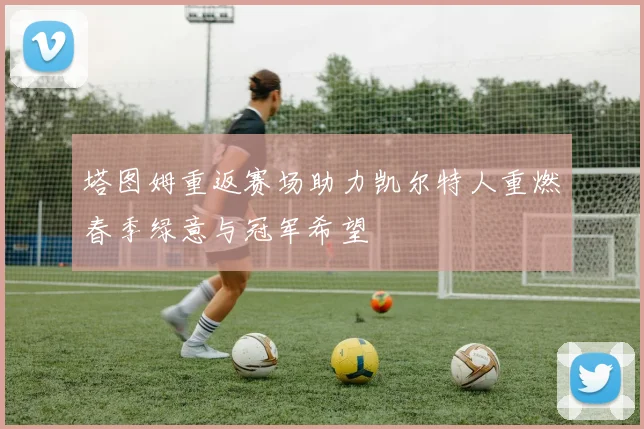 塔图姆重返赛场助力凯尔特人重燃春季绿意与冠军希望